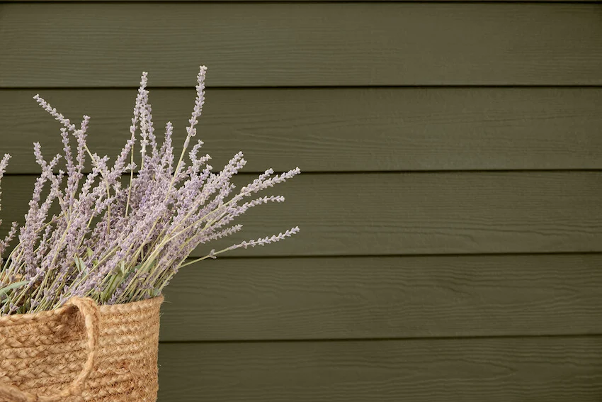 Close-up of James Hardie lap siding texture in a deep green finish