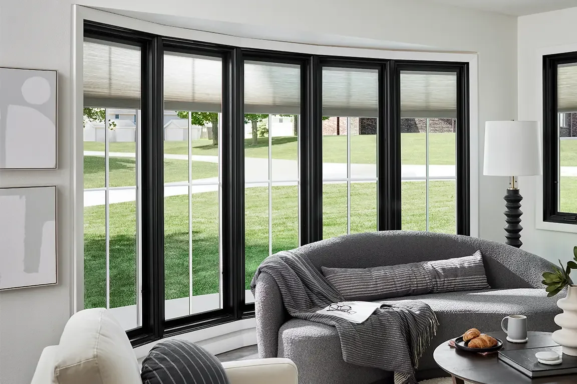 Sunny window area that creates a plant-friendly living space